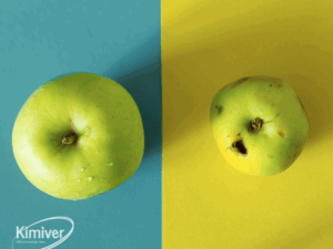 Buiten winnen is binnen beginnen. Echt succes begint van binnenuit. Lees in dit blog van Kimiver Advies hoe een sterke interne organisatie leidt tot een krachtig extern imago en duurzame groei.